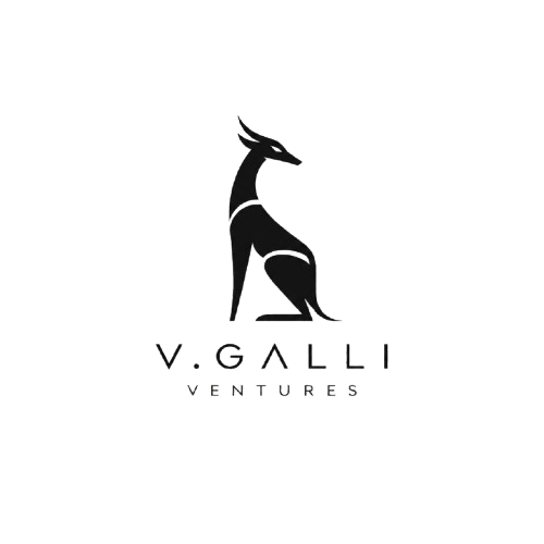 Vincenzo Galli logo